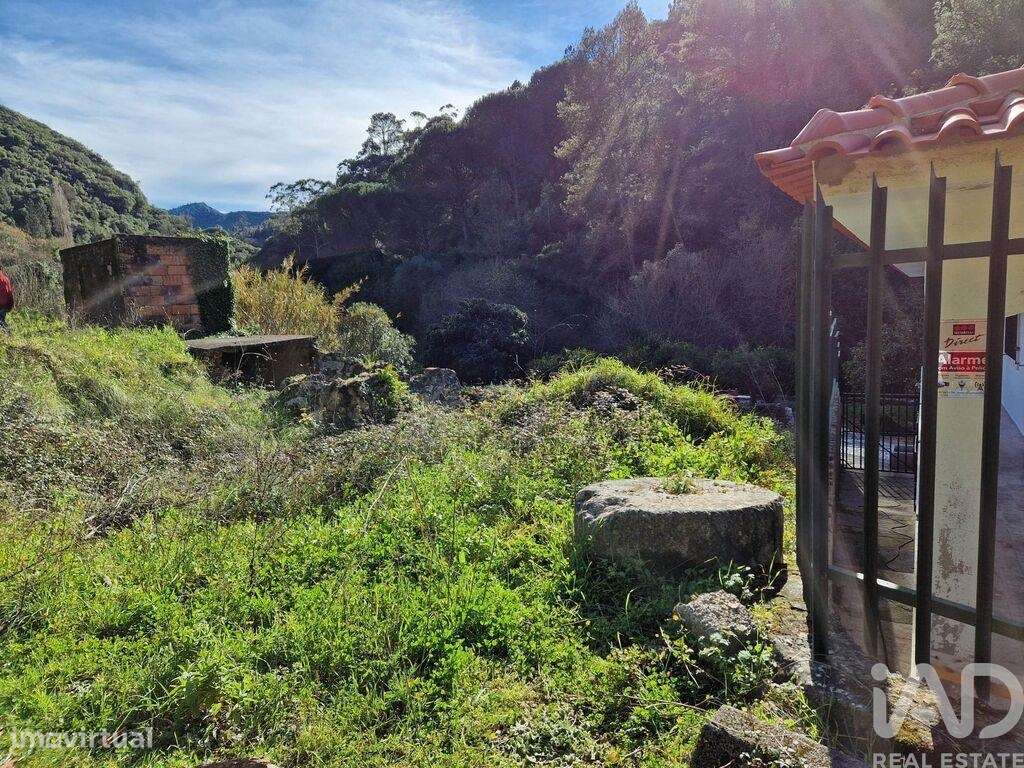 Comércio diverso em Porto de Mós - São João Baptista e São Pedro de 10 - Grande imagem: 2/26