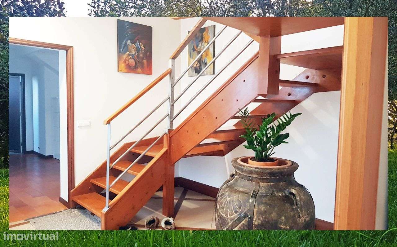 Quintinha com Mata secular-39