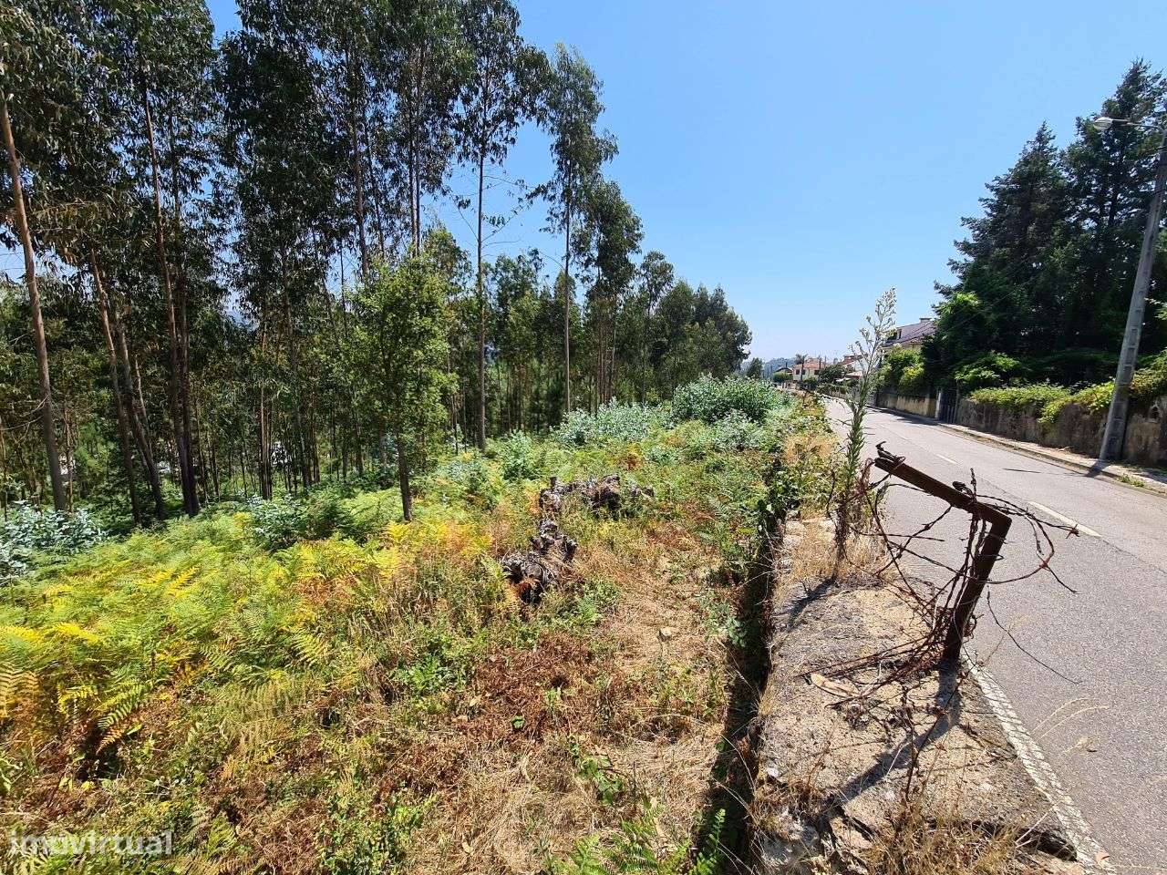 Terreno para construção em Nogueira do Cravo-5