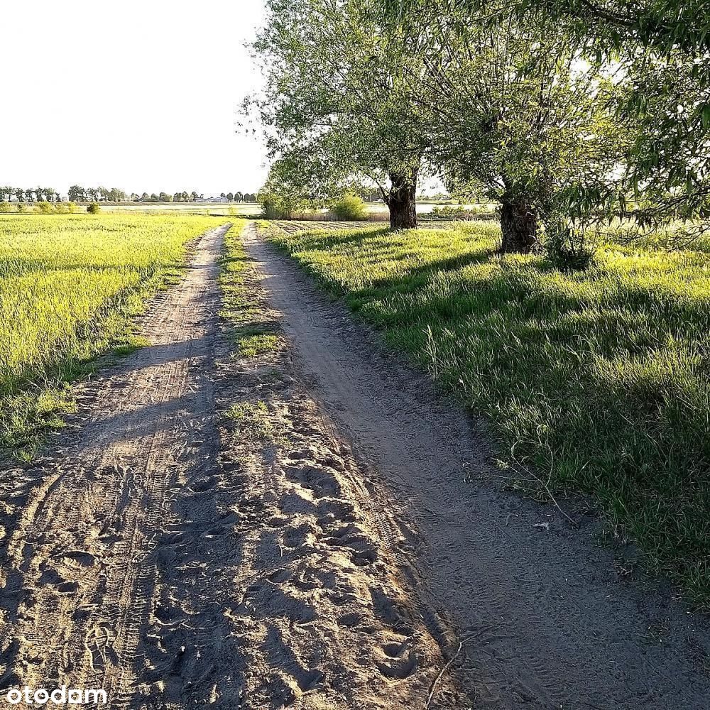 Otusz - 1436 m2 z możliwością podziału na dwie