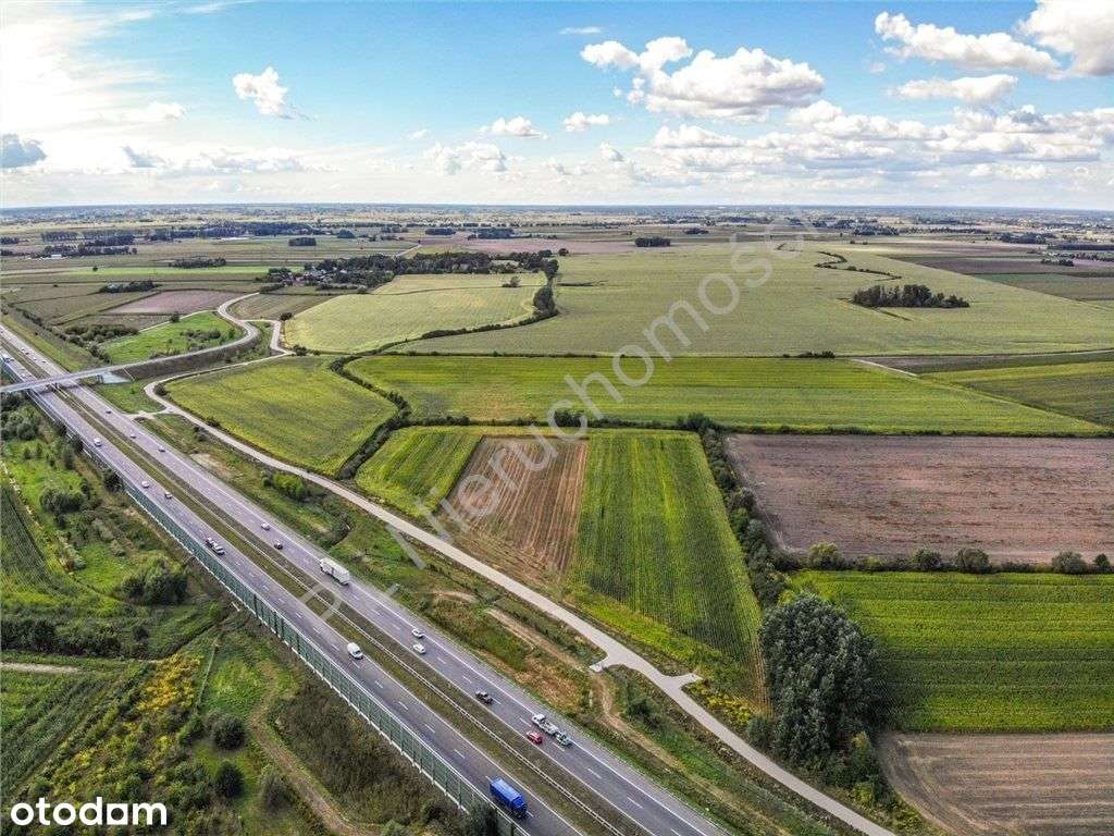 Teren inwestycyjny 80 ha przy A-2 media, asfalt - Pełny obrazek: 5/8