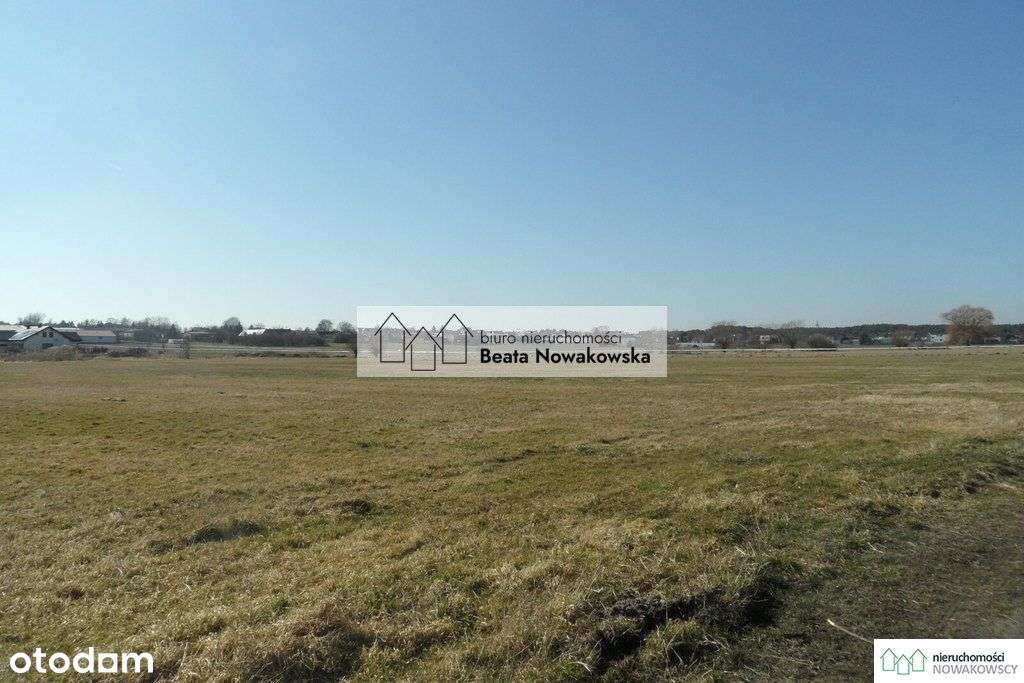 Działka, 3 653 m², Daszewice - Pełny obrazek: 4/10