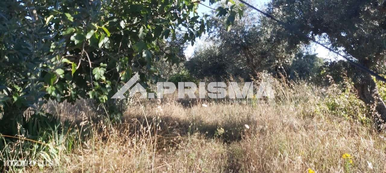 Quintinha para venda em Póvoa Rio de Moinhos - Grande imagem: 2/6