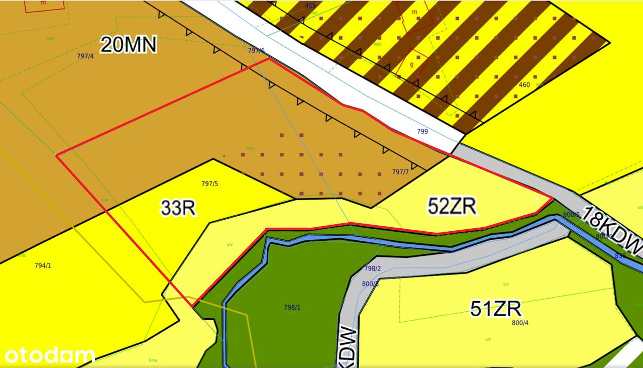 Chronów • duża działka • spokojna okolica • 56 ar - Pełny obrazek: 4/6