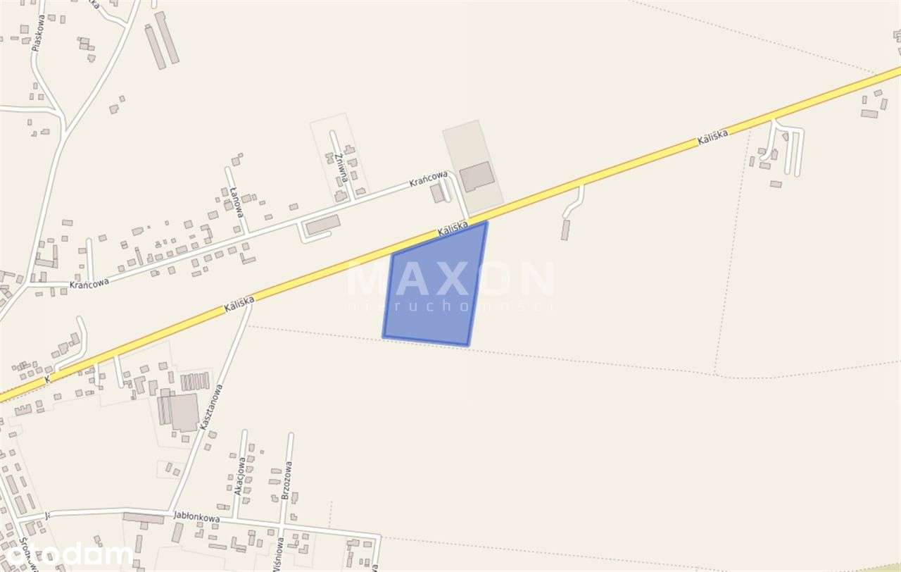 ❗❕Czekanów Grunt Pod Usługi I Składy 3,3 Ha❕❗ - Pełny obrazek: 4/6