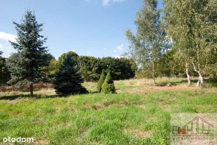 Kotowice-Działka-Las- blisko Wrocław/ Oborniki Śl. - Pełny obrazek: 4/8