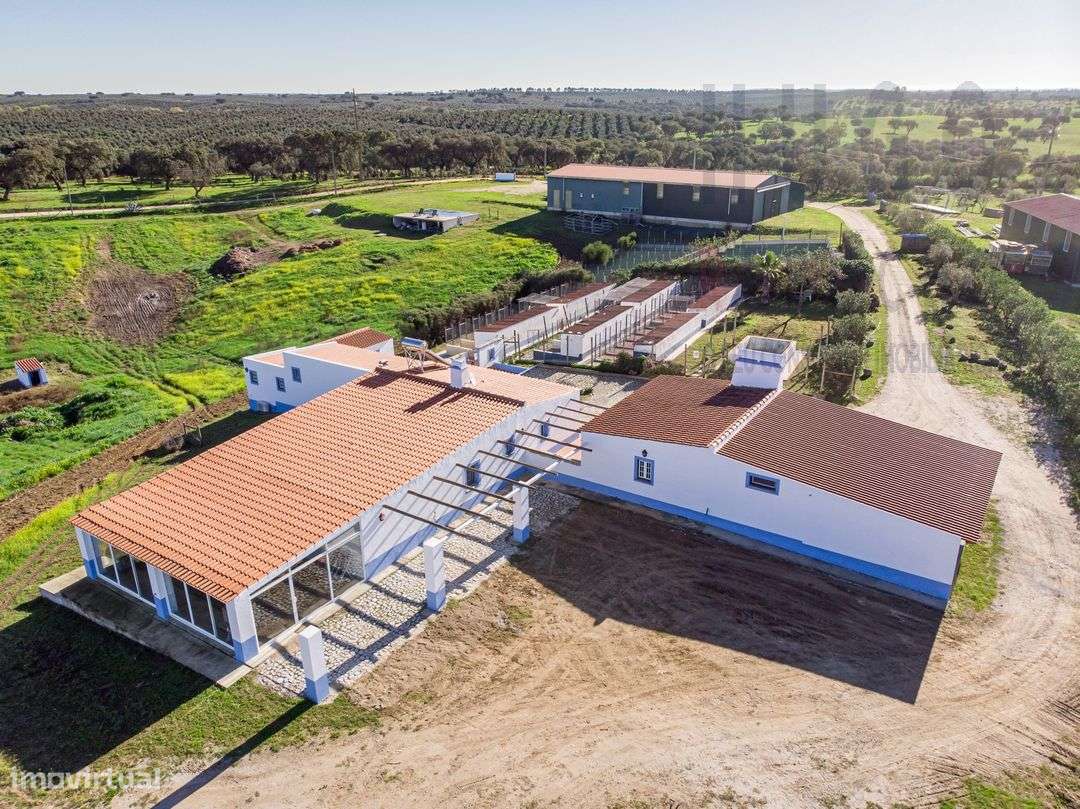 Vende-se Quinta/ Hotel canino, Nossa Senhora de Machede, Évora - Grande imagem: 2/43