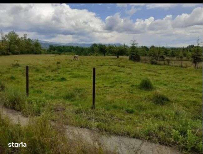 Vanzare teren 5000 mp, intravilan+extravilan, in comuna Crasna - Imagine principală: 4/4