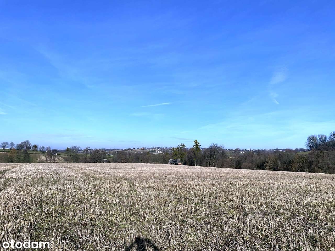 Kisielów - działka rolna 2,5 ha - Pełny obrazek: 5/19