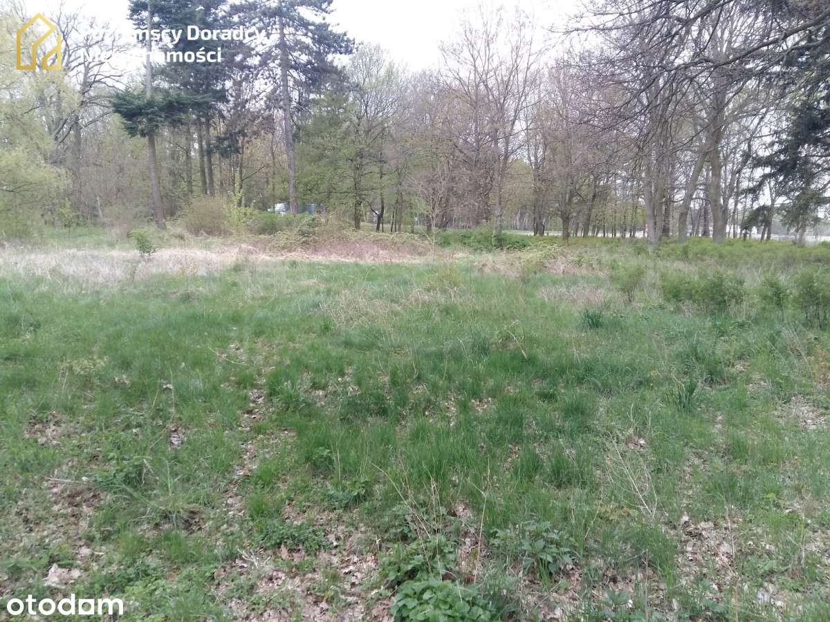 Działka z parkiem idealna po dom opieki - Pełny obrazek: 5/7