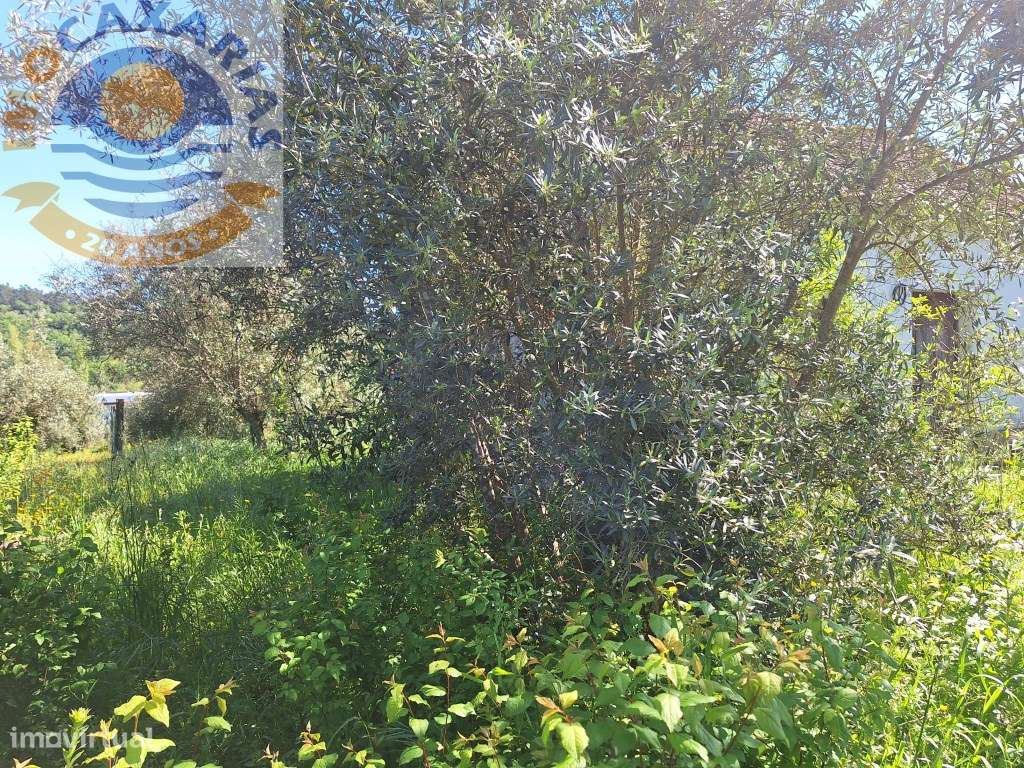 Moradia para recuperar com poço-Seiça - Grande imagem: 4/7