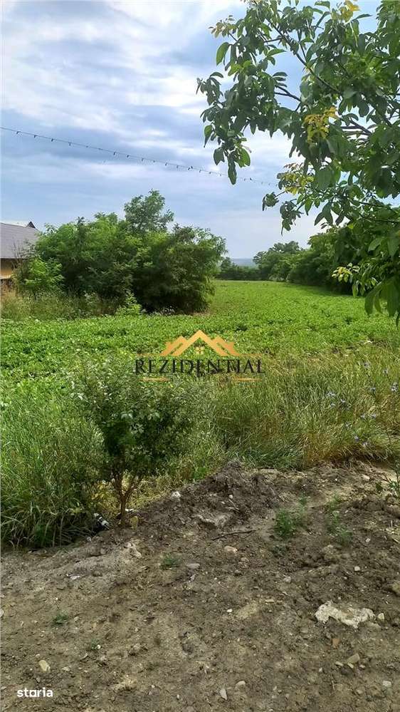 TEREN INTRAVILAN 4400 - Imagine principală: 2/2