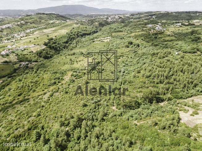 TERRENO MISTO COM 48Ha EM ALENQUER!-0