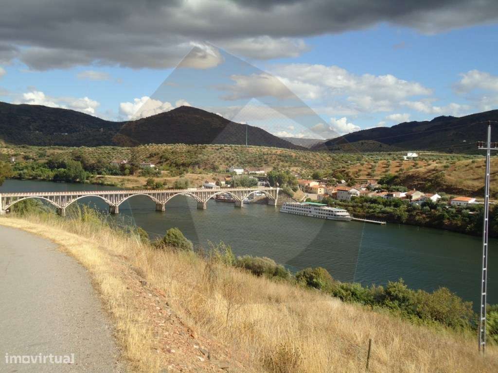 QUINTA COM VINHA - FIGUEIRA DE CASTELO RODRIGO-8