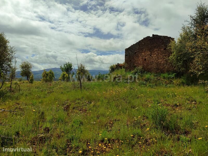 Terreno / Fundão, Telhado