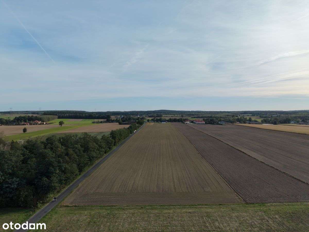 Działka rolna do przekształcenia na inwestycję. - Pełny obrazek: 5/8