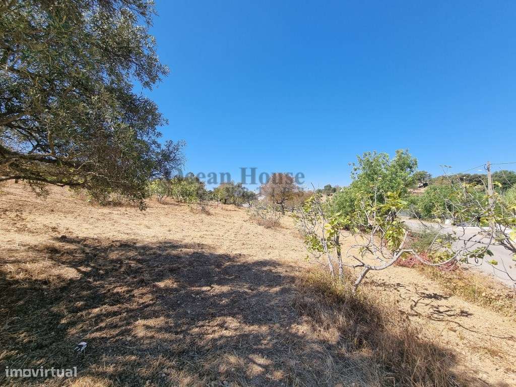 Terreno rústico com 14.400m2 em Santa Bárbara de Nexe - Faro - Grande imagem: 5/9