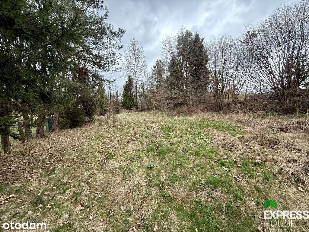 Na sprzedaż dom do remontu z ogromną działką - Pełny obrazek: 4/10