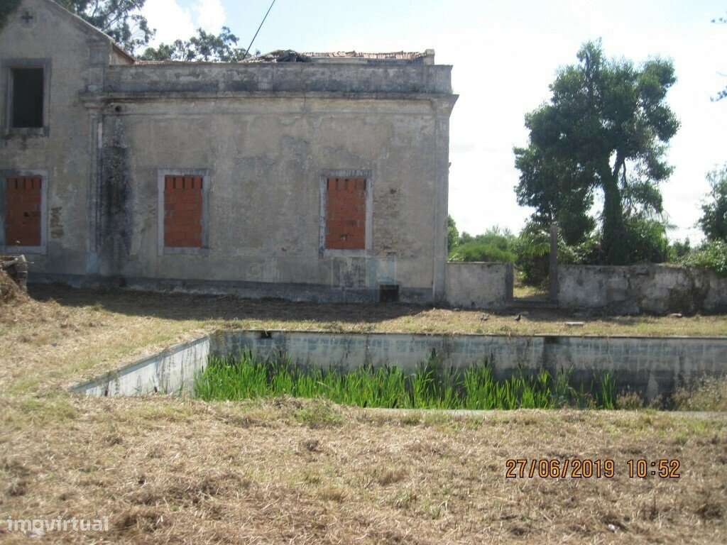 Terreno  c/ 10.000 M2 na Figueira da Foz-17