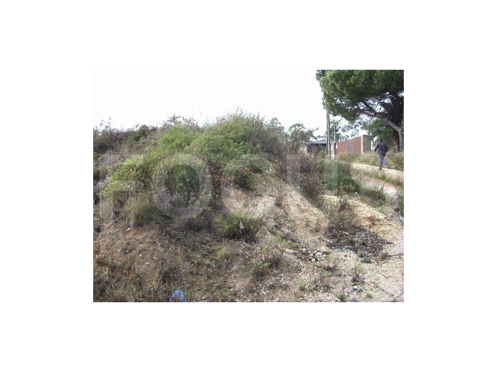 Lotes para venda para moradias e bloco de apartamentos - Grande imagem: 5/12