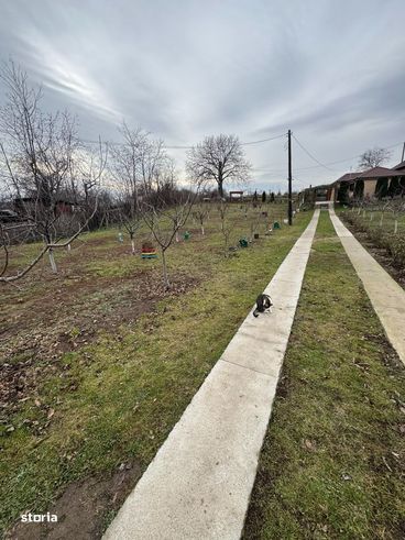 Vanzare 2 case si anexe, Urlati-0