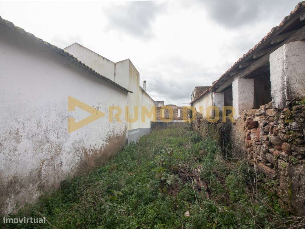 Arrecadação com logradouro em Pocariça - Grande imagem: 2/12