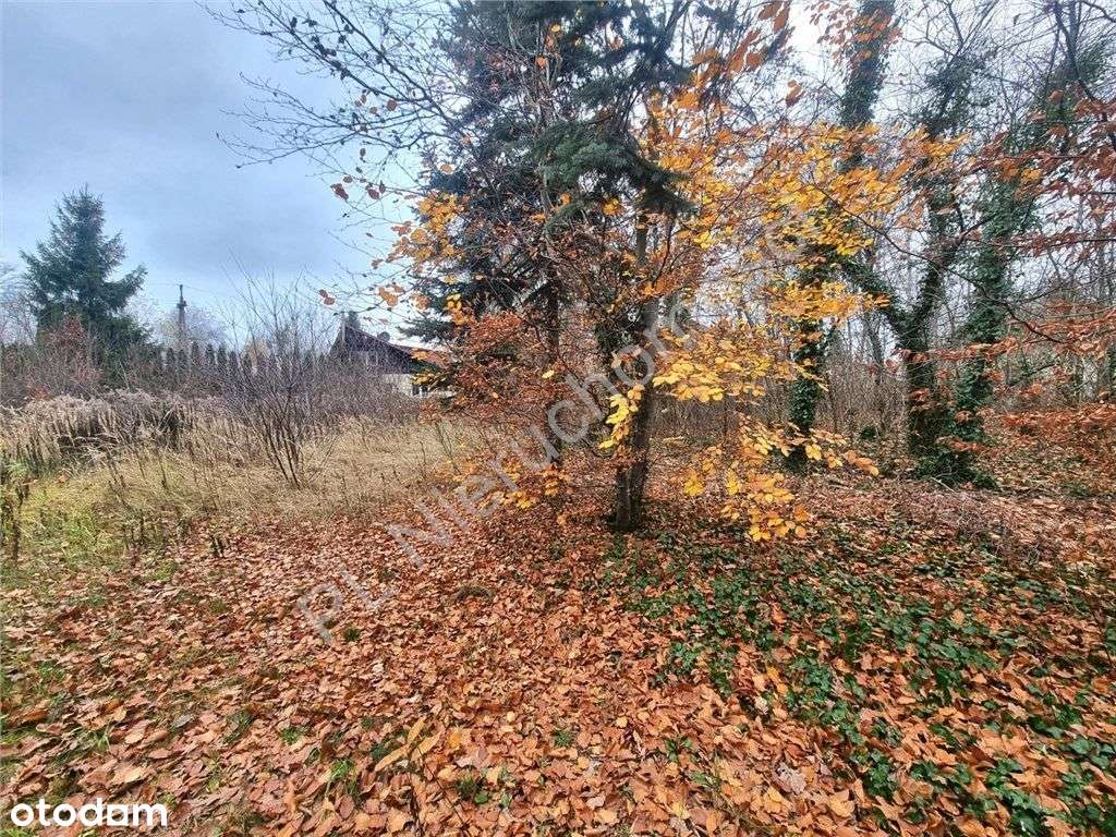 Otrębusy, 1025 m2, media, blisko Wkd - Pełny obrazek: 4/4