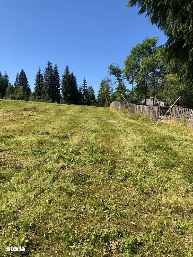 Teren intravilan –Gura Haitii, jud. Suceava - la 27 km de Vatra Dornei - Imagine principală: 2/6