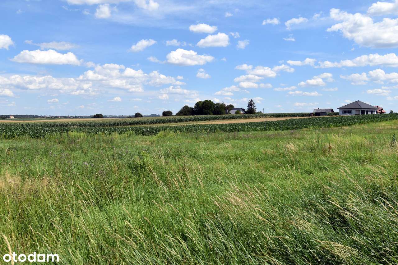 Działka budowlana z Warunkami Zabudowy - Gwizdaj pod Przeworskiem-8