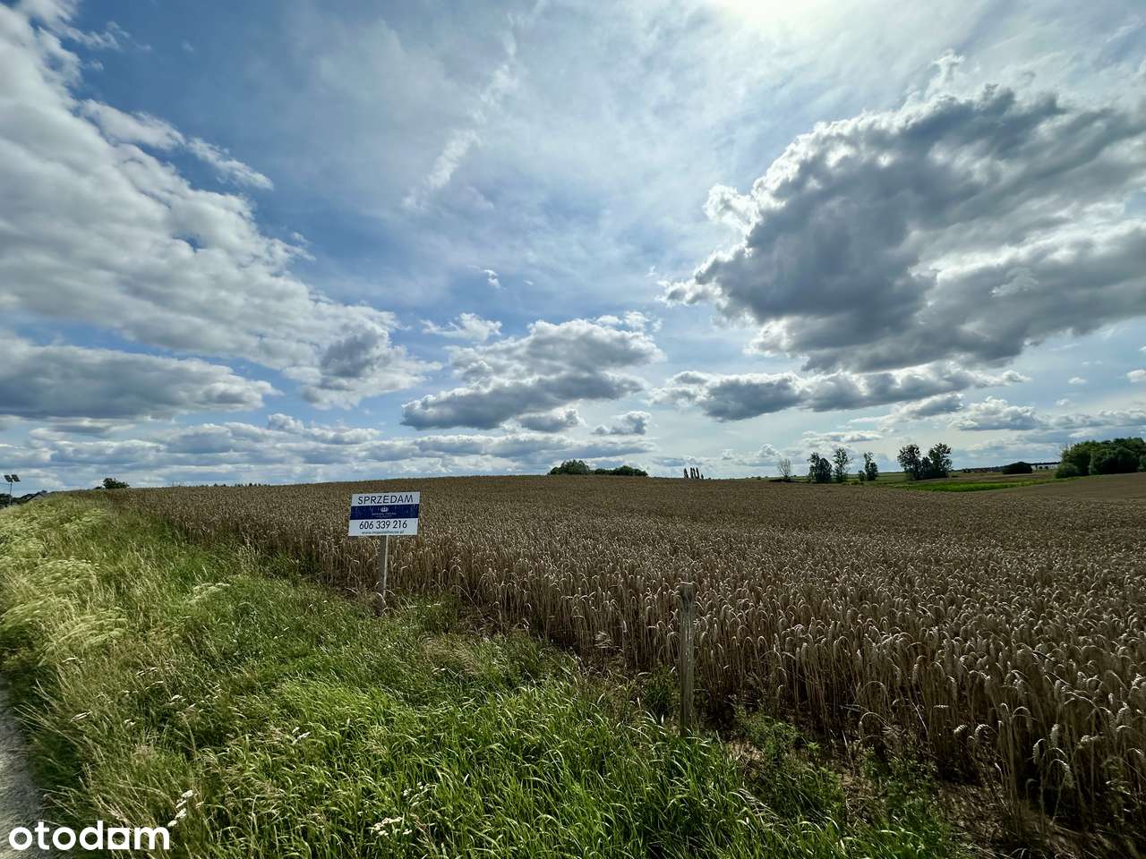 Gaj Wielki - Działka z warunkami zabudowy - Pełny obrazek: 5/9