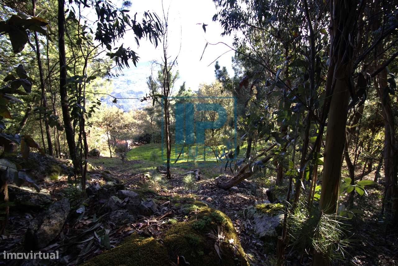 Quinta T3+1 Venda em Penhalonga e Paços de Gaiolo,Marco de Canaveses-40