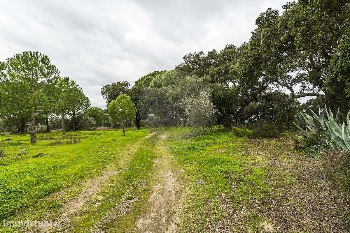 Terreno  para venda - Grande imagem: 5/11