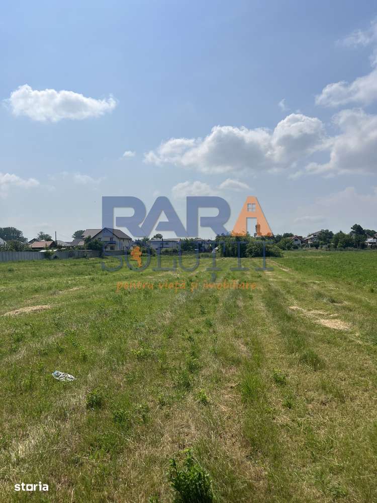 5200 mp intravilan - Str Viitorului (zona Abator) - Imagine principală: 5/5