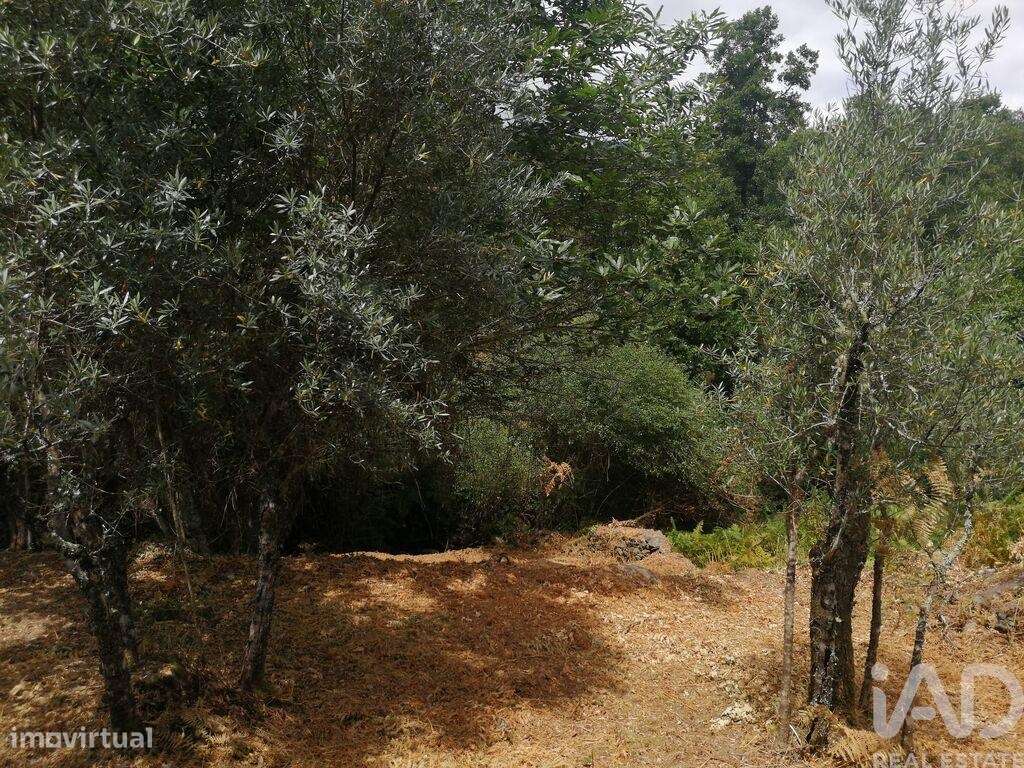 Terreno em Pedrógão Grande de 1800,00 m2 - Grande imagem: 4/25