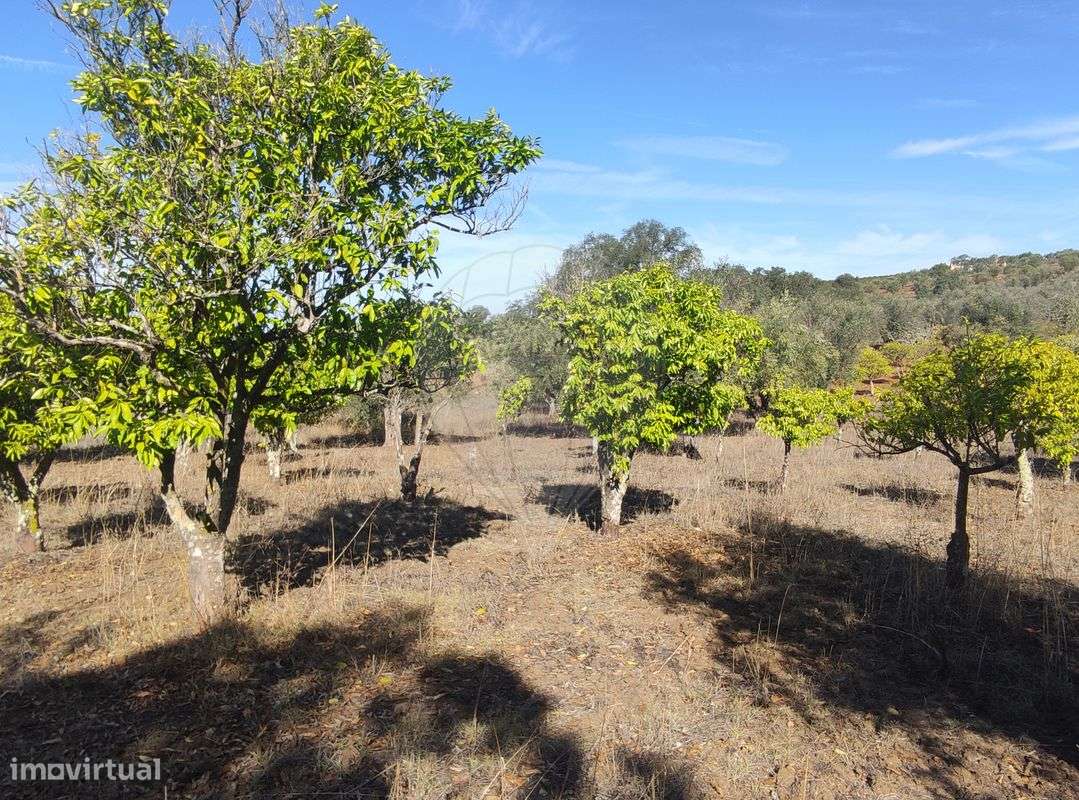 Terreno  para venda - Grande imagem: 5/10