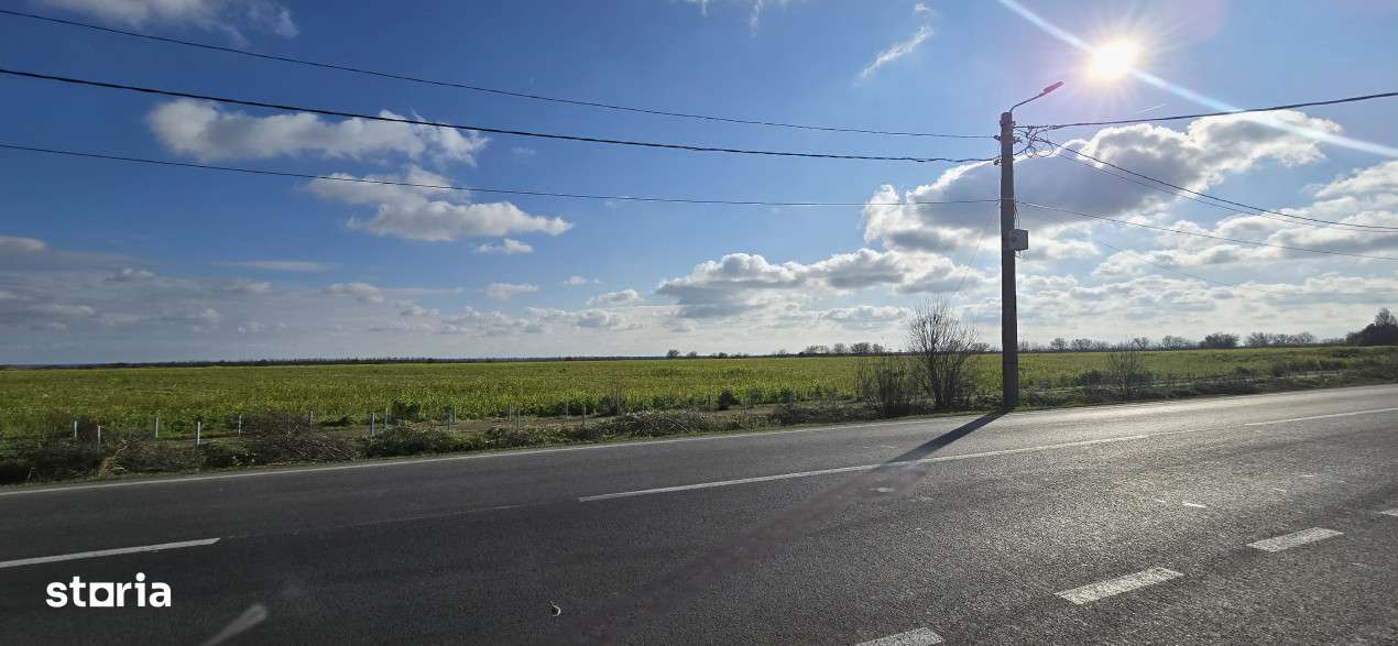 Teren 3,8 ha in Vama Veche pe partea cu marea, la 300 ml de granita - Imagine principală: 5/7