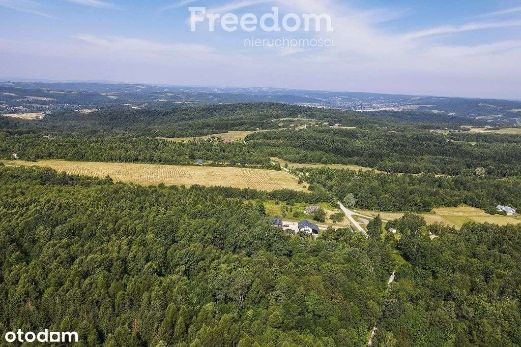 Działka widokowa 22 ar Lubenia - Pełny obrazek: 4/15