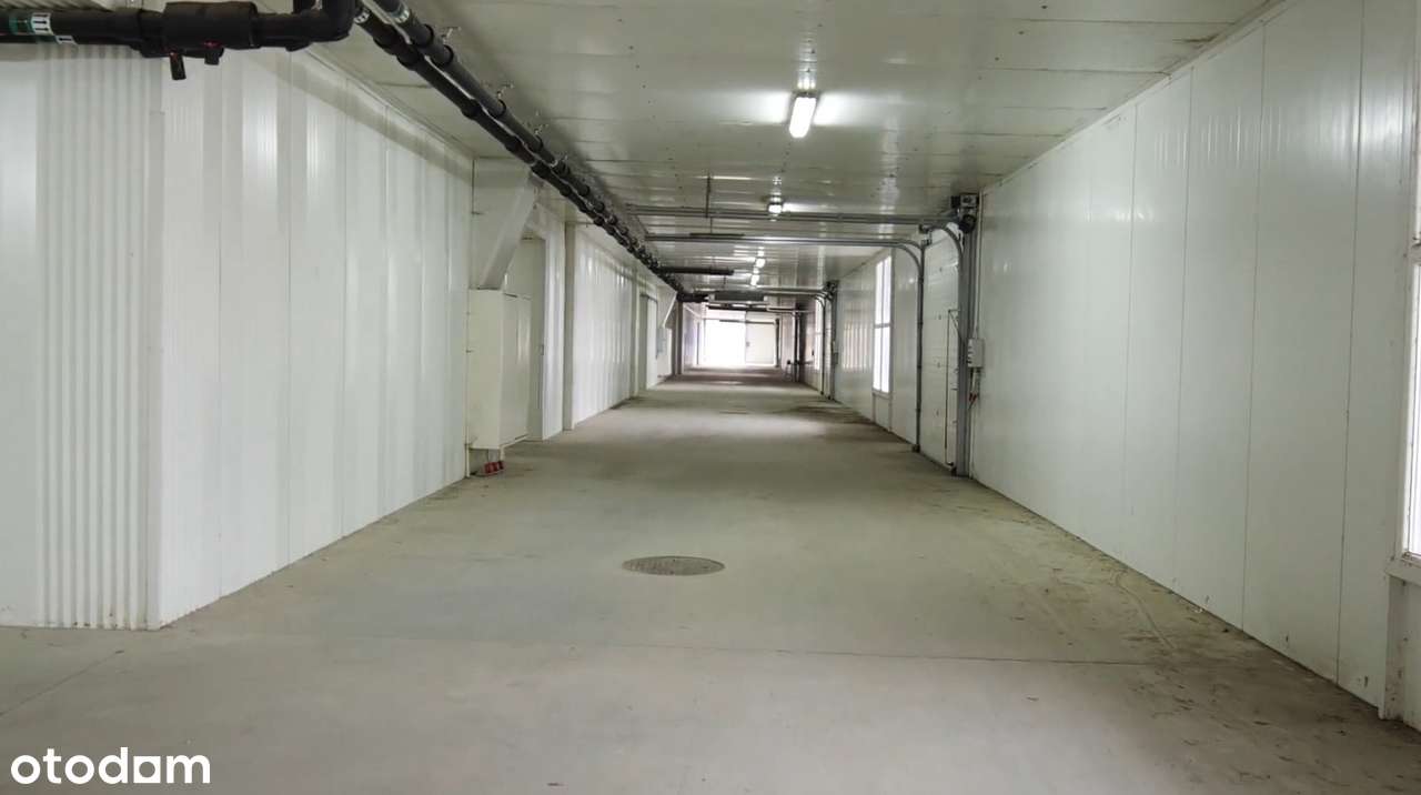 Kompleks hal magazynowych z chłodniami - Pełny obrazek: 3/5