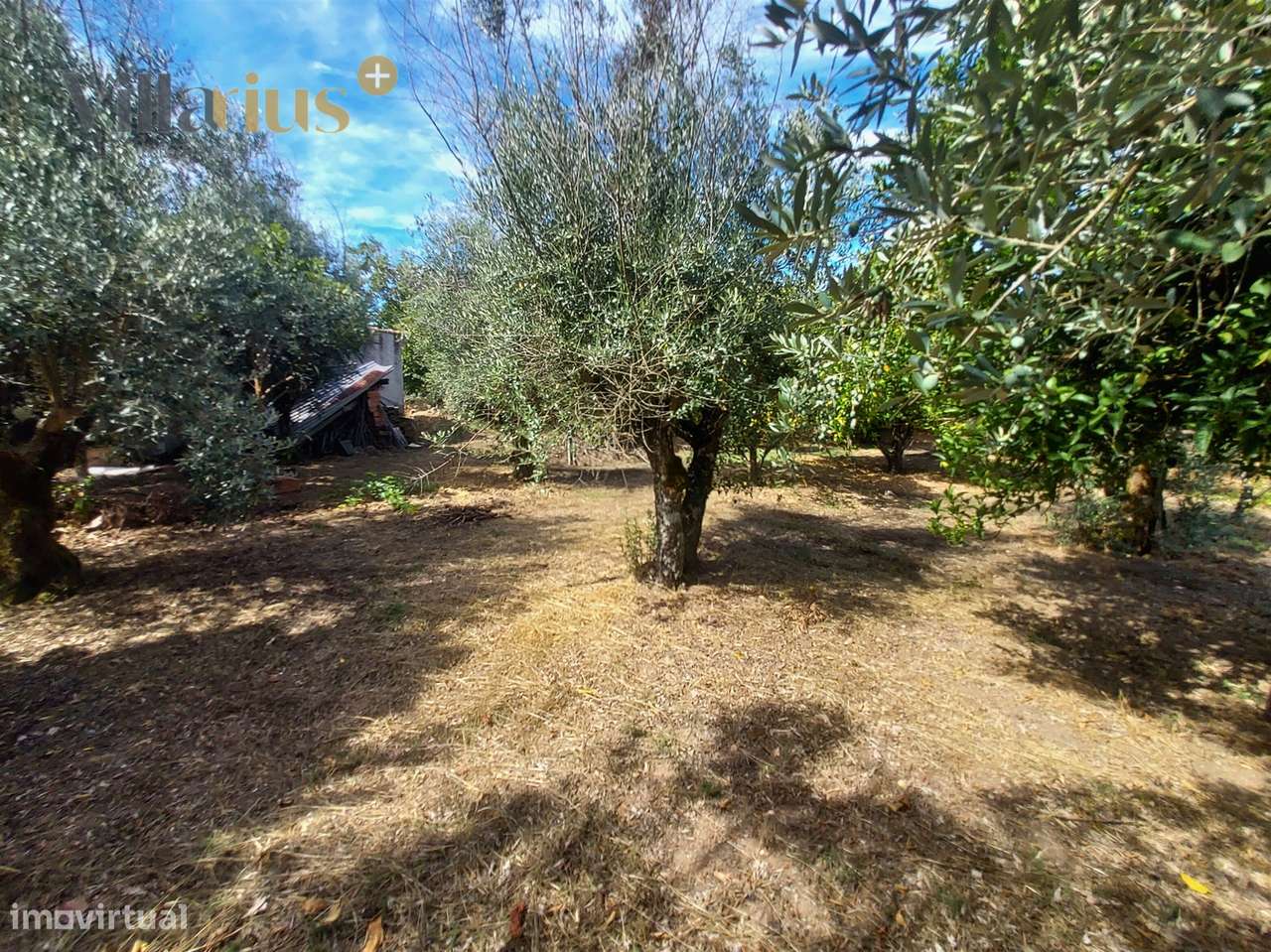 Moradia T3+1 à Venda em Tomar – Espaço e Natureza-40