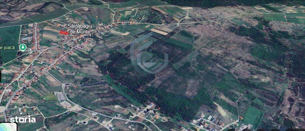 Teren intravilan Saldabagiu de Munte 1100m - Imagine principală: 3/8