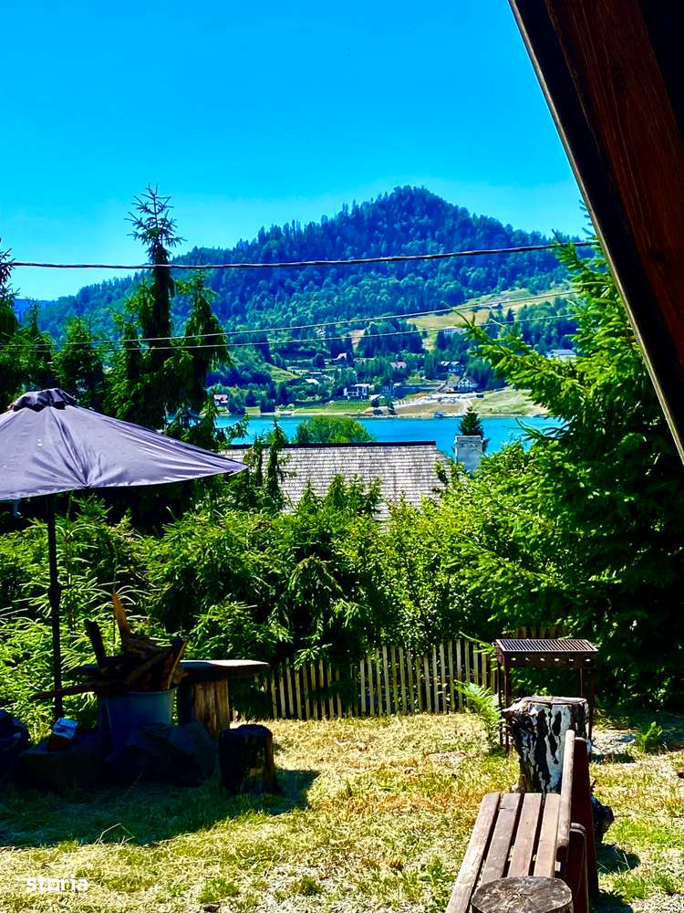 Pensiune de vânzare în Colibita - Imagine principală: 2/20