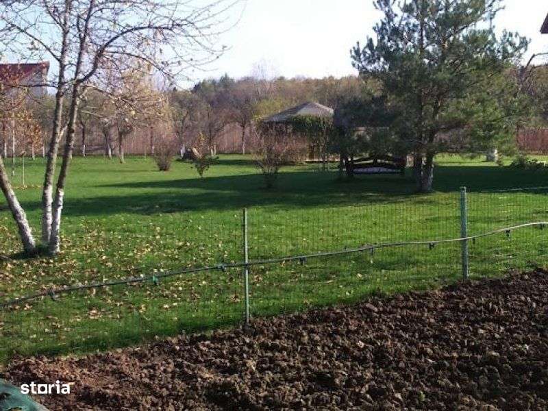 Ciopani vila 5 camere teren 4000 mp - Imagine principală: 4/20