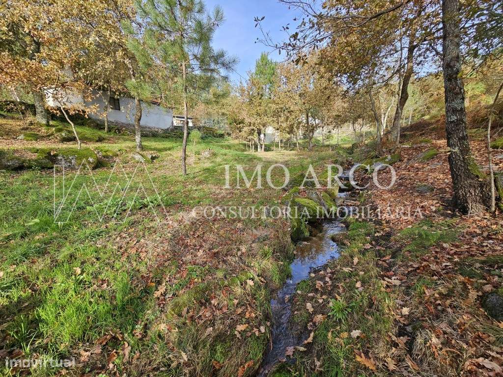 Terreno, Olival de Meanhos-14