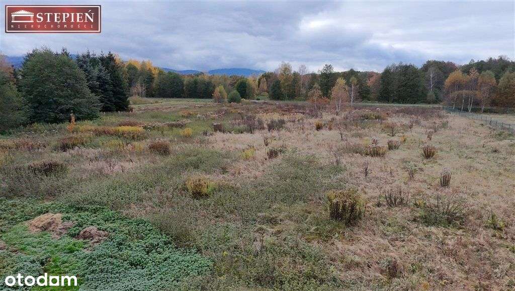 Działka, 1 001 m², Mysłakowice - Pełny obrazek: 5/7