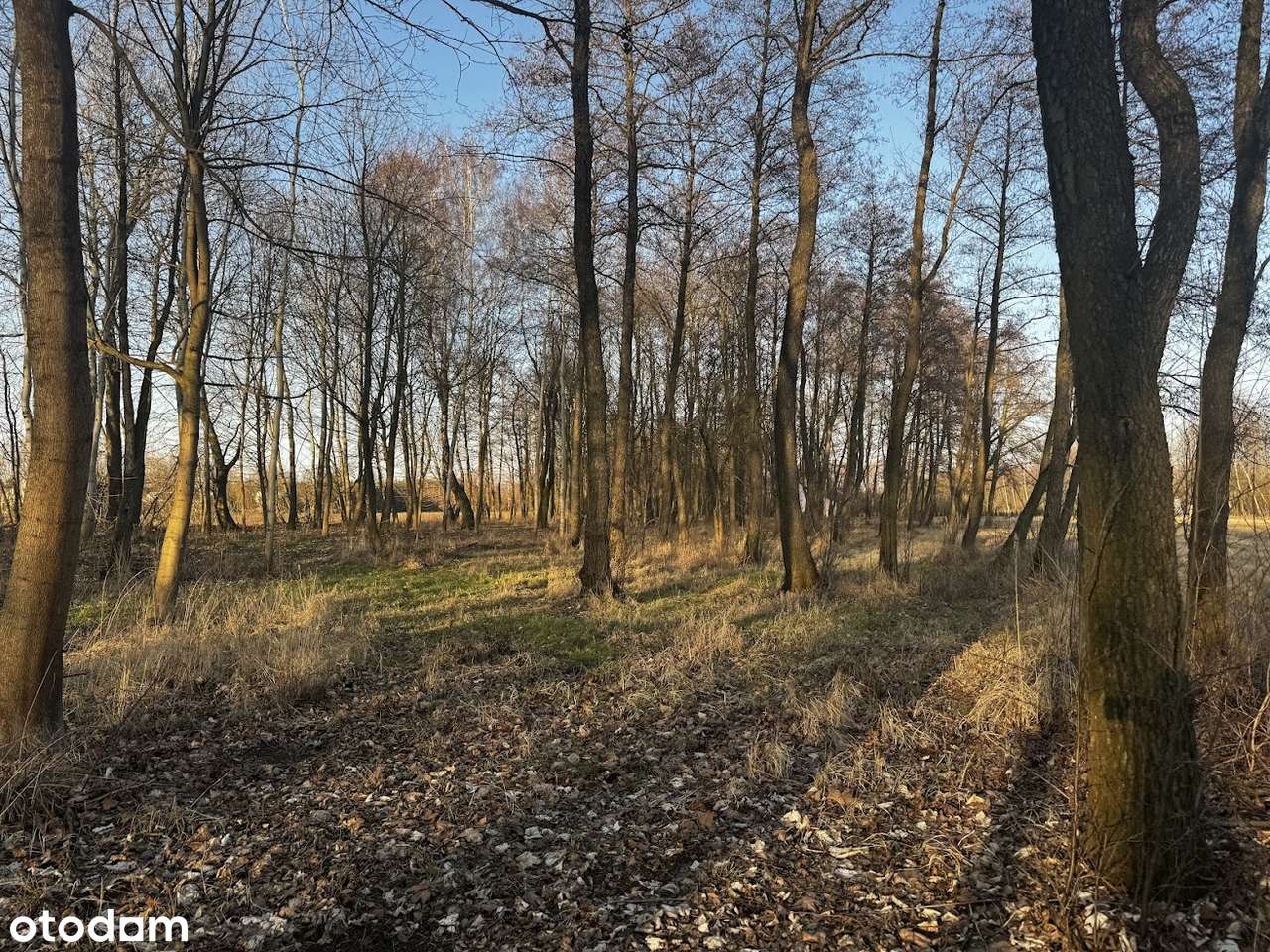 blisko jezioro i plaża zagospodarowana-18