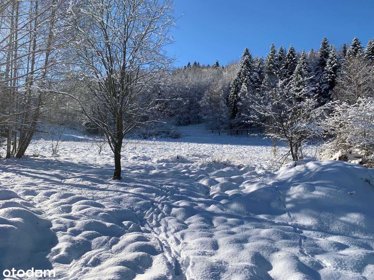 Duża działka w Zawoi Podpolice-10