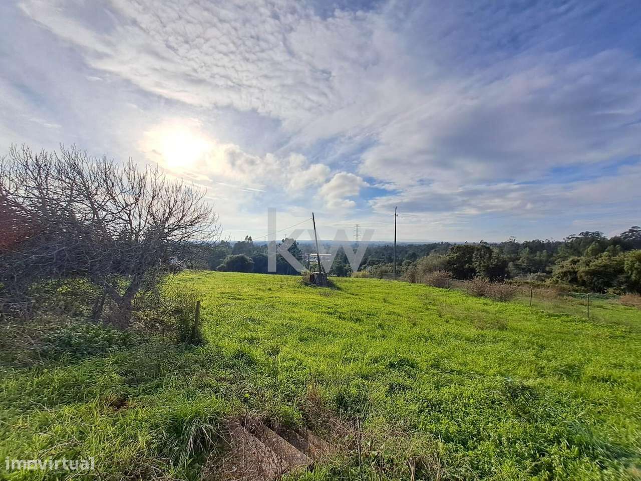 Quinta exclusiva na Póvoa da Isenta – Um refúgio no coração do Riba - Grande imagem: 2/19