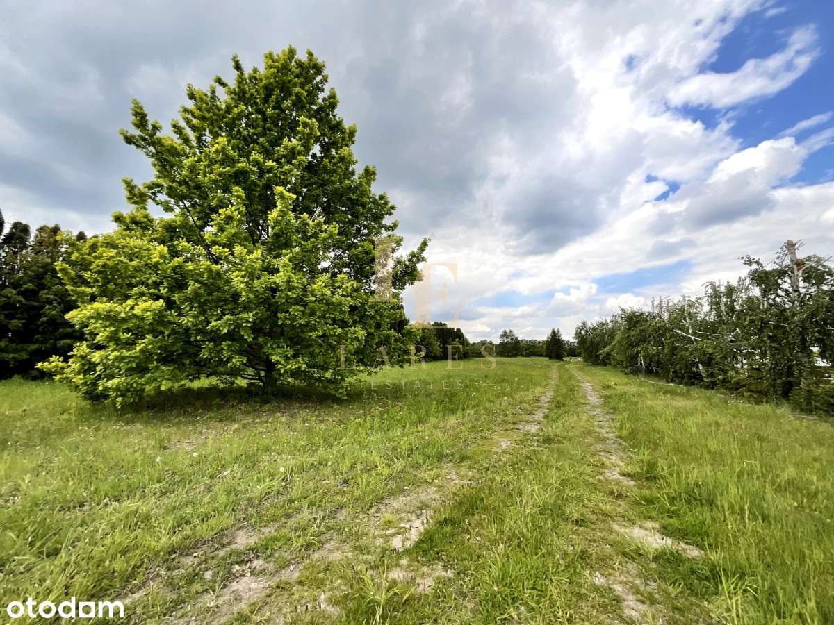 Działka z pozwoleniem - Cieciszew | Konstancin - Pełny obrazek: 5/10