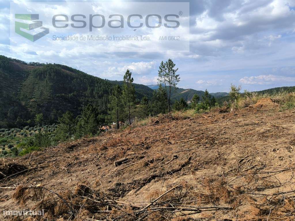 Terreno rústico junto ao Sesmo - Grande imagem: 4/9