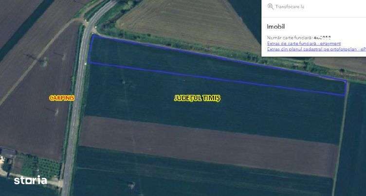 Cota de 5/24 din teren extravilan Carpinis, judetul Timis; - Imagine principală: 1/3